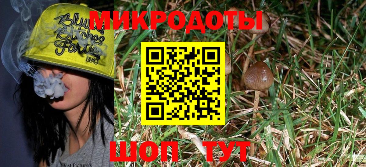 Галлюциногенные грибы Cubensis Реутов